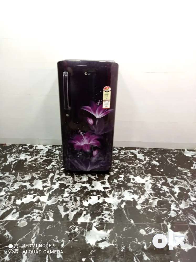 LG 030-01377-17 Article décoratif