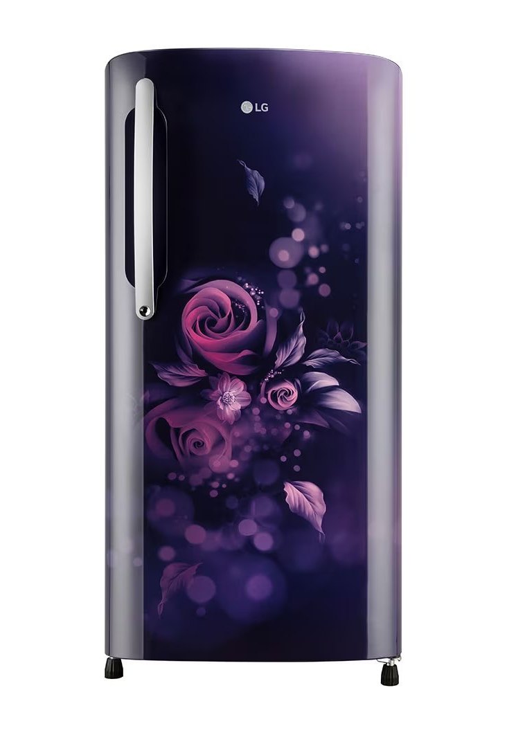 LG Decorative Item - 030-01497