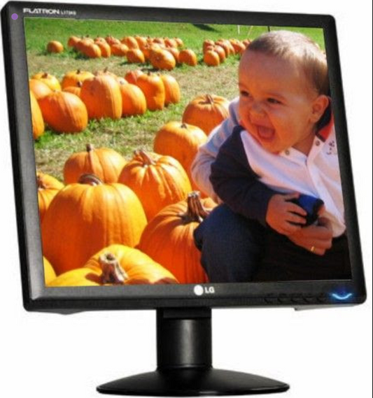 LG L1734SBN L1734S-Bn