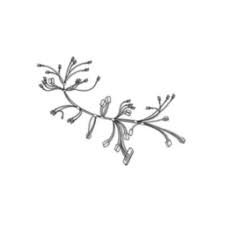 Harnais simple de la gamme LG EAD65616802