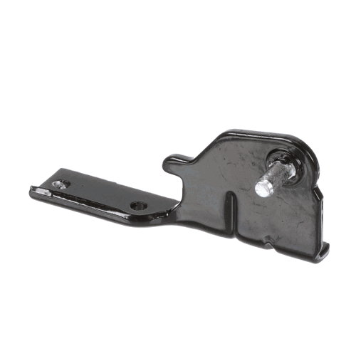 AEH73856204 Center Hinge Assembly